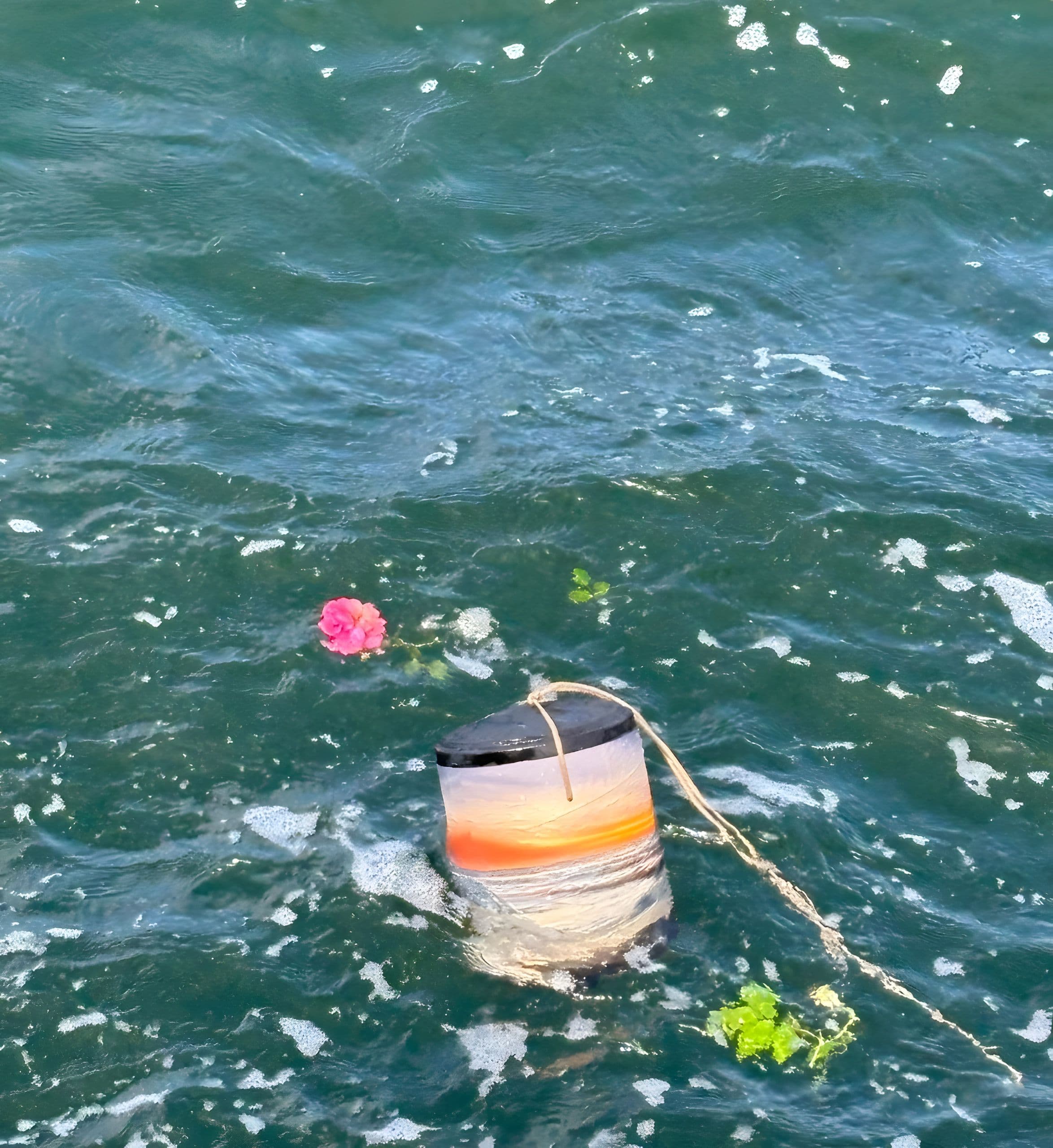 Seeurne mit Sonnenuntergangsmotiv treibt mit einer Blüte im Wasser
